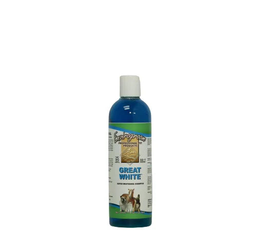 Champú superblanqueador concentrado Great White 32:1