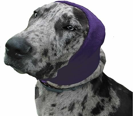 HAPPY HOODIE EXTRA LARGE