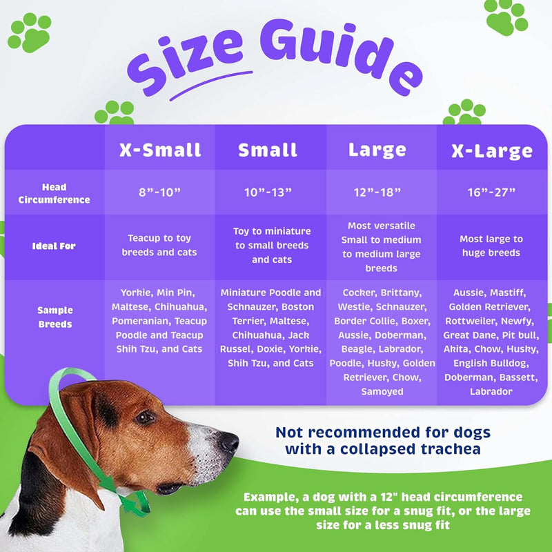 HAPPY HOODIE 2PK - BLACK