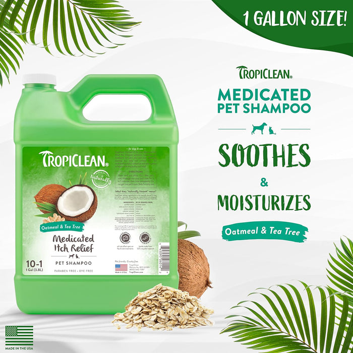 Oatmeal & Tea Tree Medicated Itch Relief Shampoo, 1 Gal