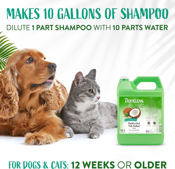 Oatmeal & Tea Tree Medicated Itch Relief Shampoo, 1 Gal