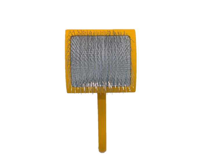 Gavyn Dream Backpack Bundle