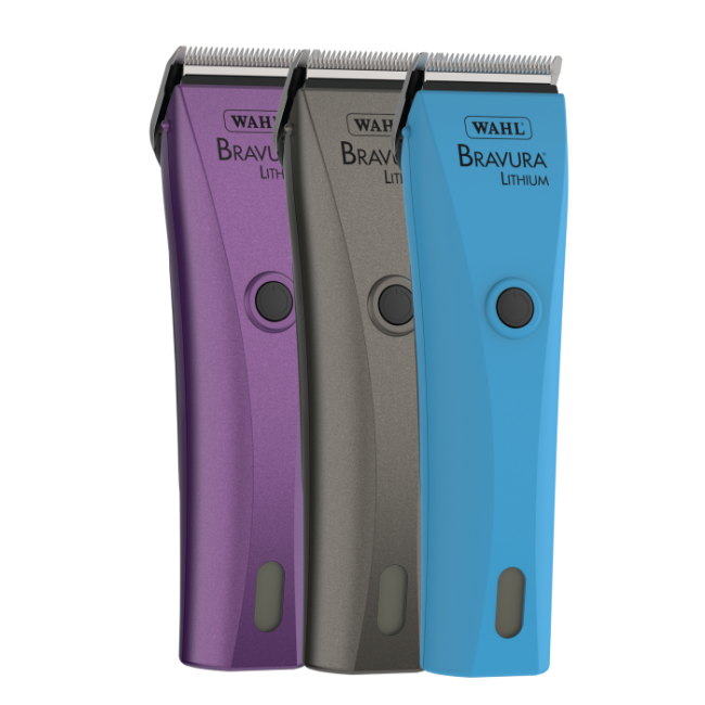 Gavyn Dream Backpack Bundle