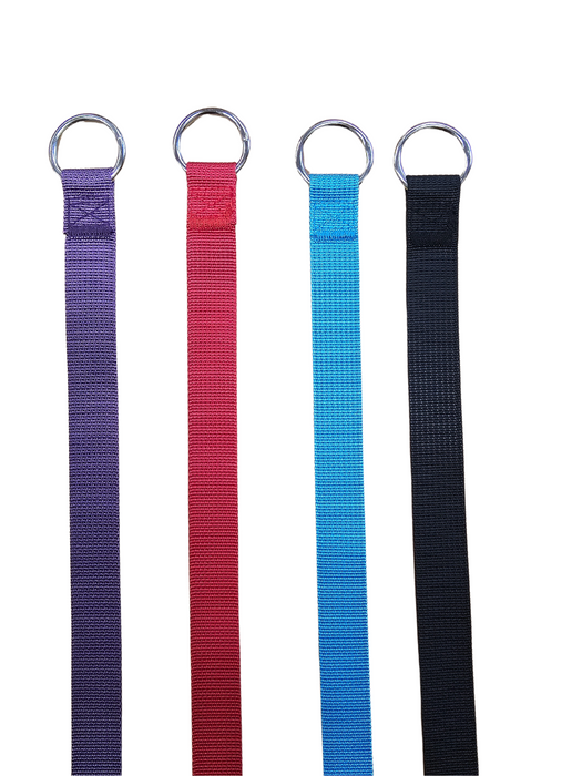Kennel Leads