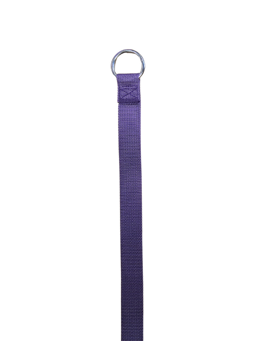 Kennel Leads