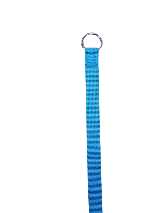 Kennel Leads